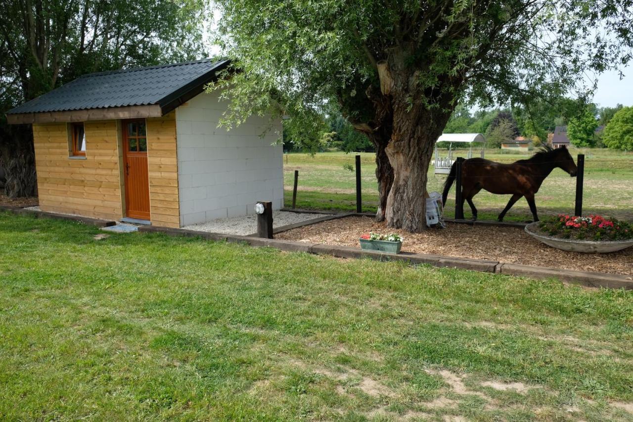Camping Des Saules Jurbise Exterior foto