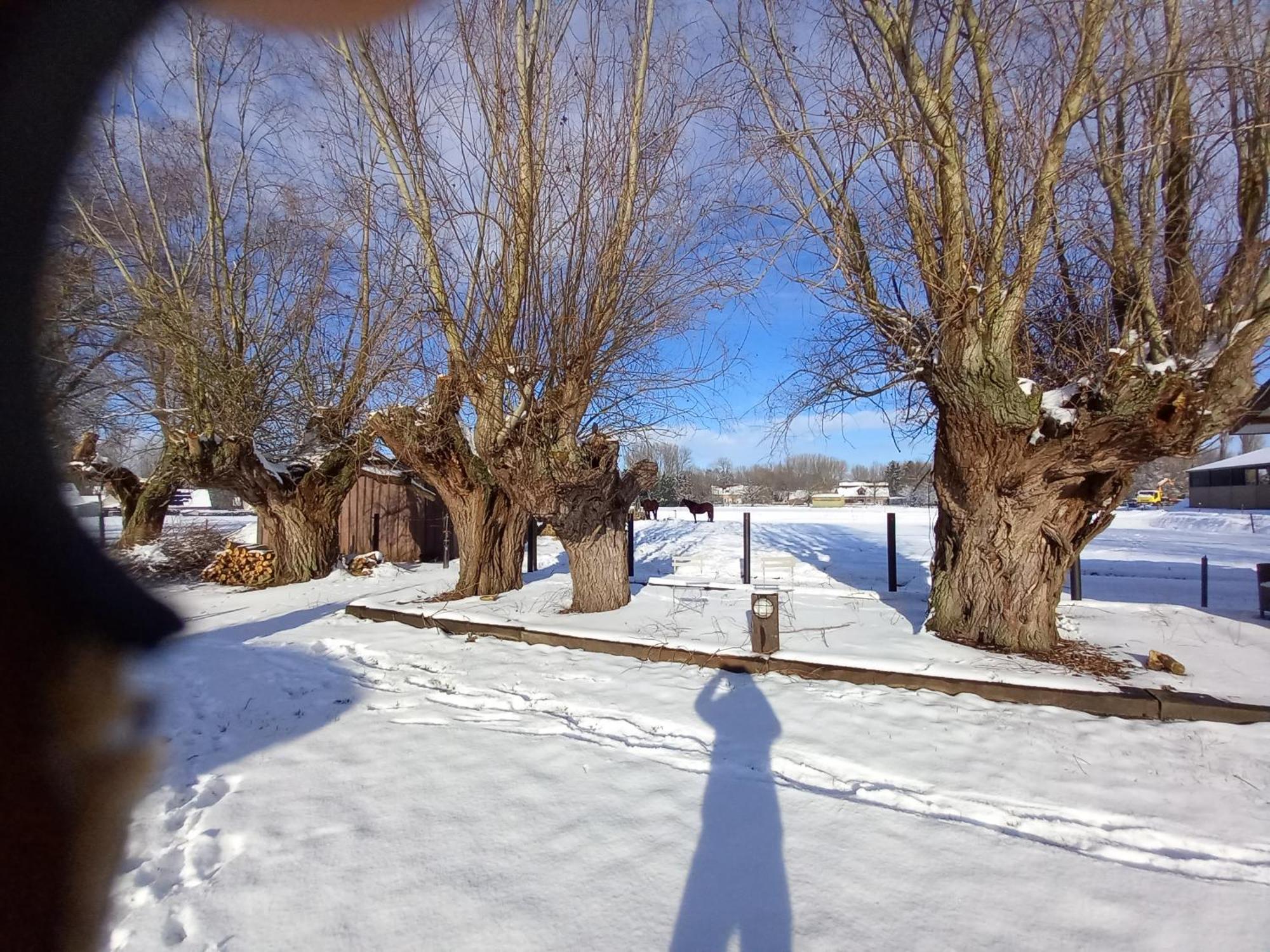 Camping Des Saules Jurbise Exterior foto